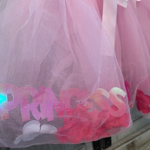 Princess expressions tutu filled with flower petals and the word princess - Picture 3 of 6